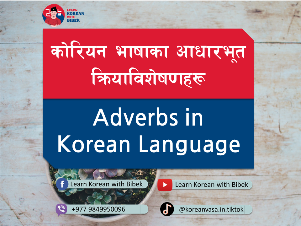 Learn Korean with Bibek